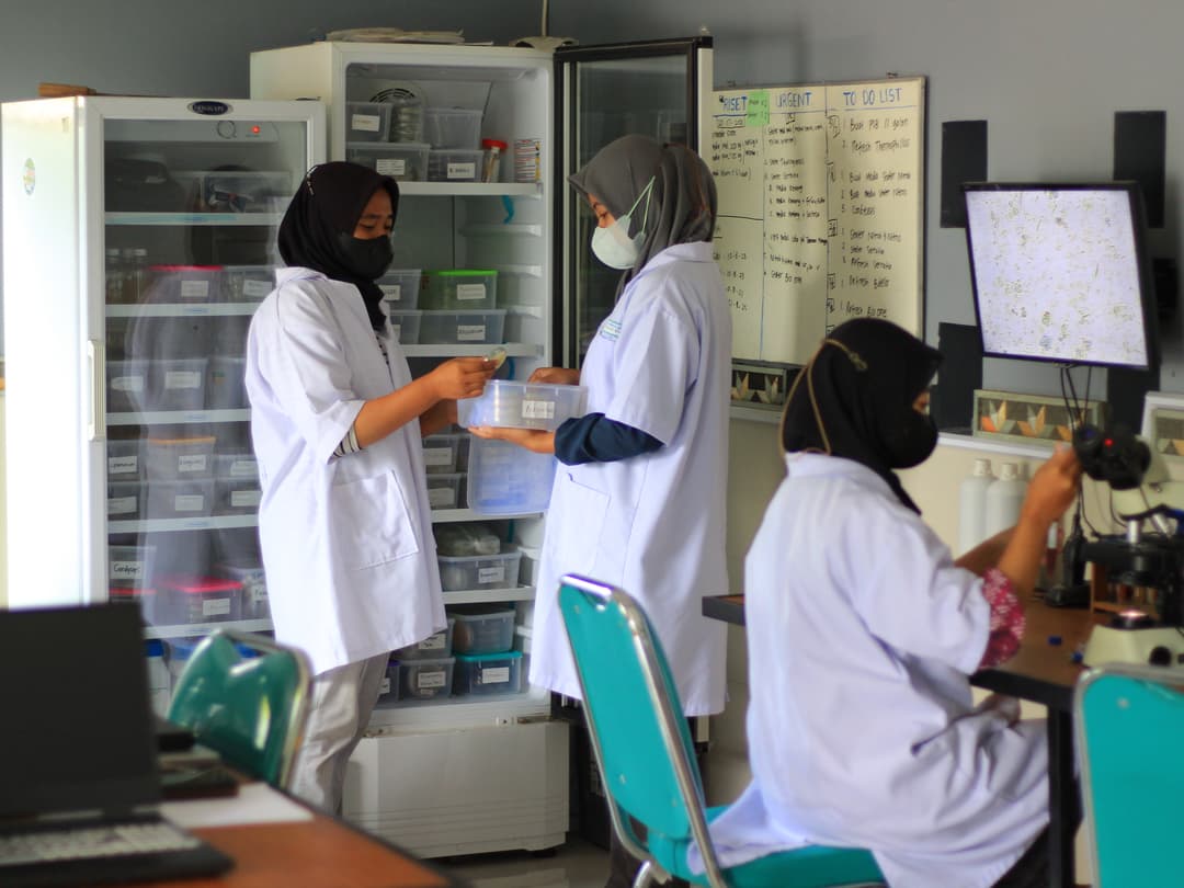 Resep Obat